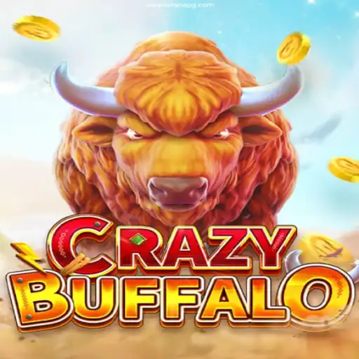 Discovering the Thrill of CRAZYBUFFALO